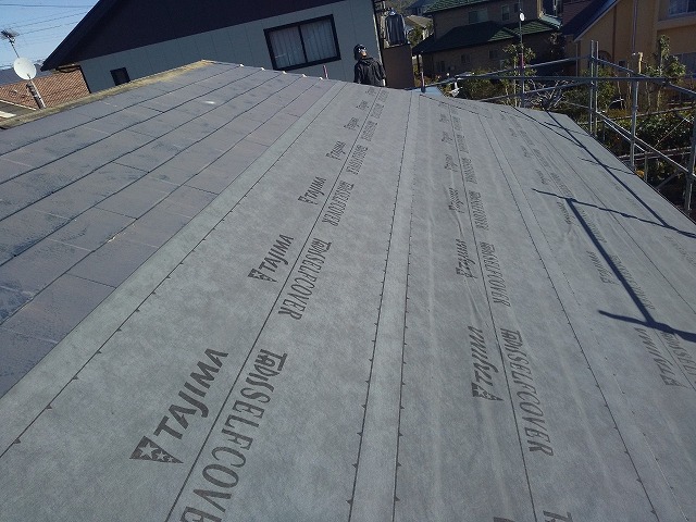 タジマ　タディスセルフカバー